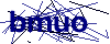 Code CAPTCHA